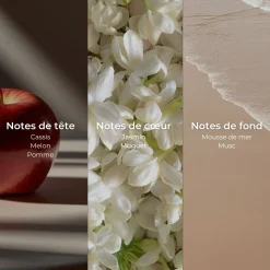 Après-shampooing démêlant