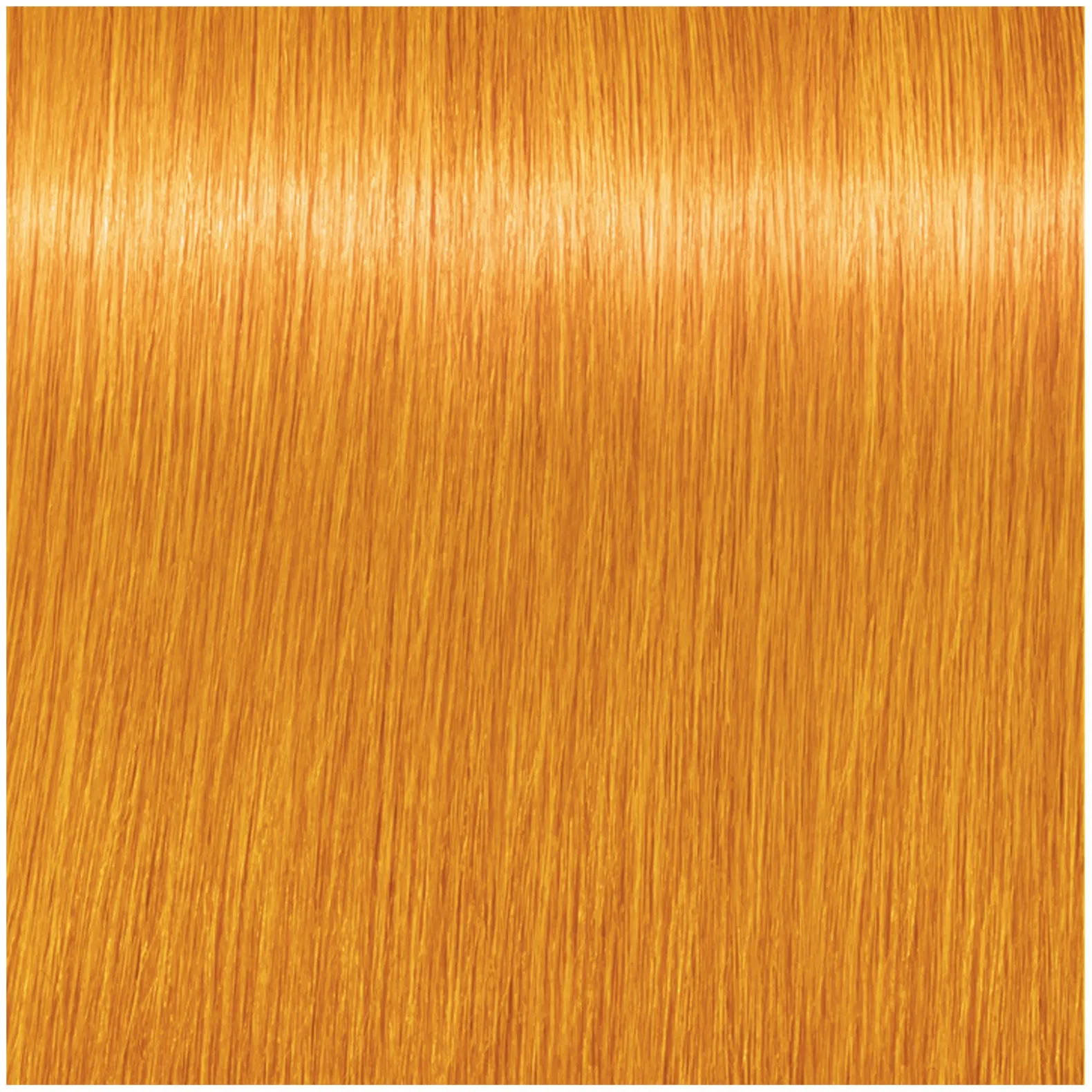 Coloration demi-permanente Igora Vibrance 0/55 booster doré