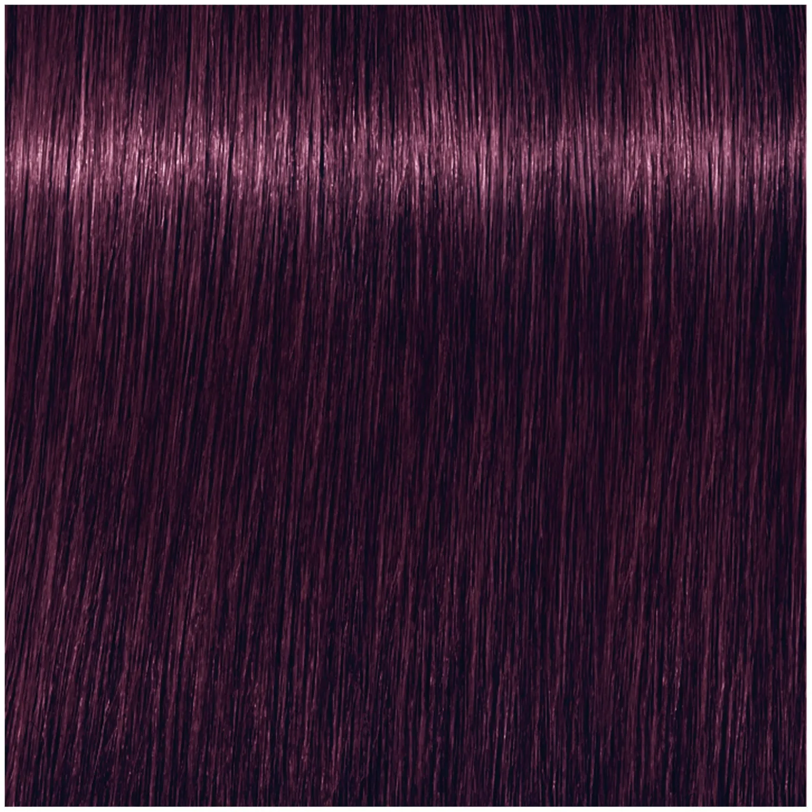 Coloration demi-permanente Igora Vibrance 0-99 booster violet