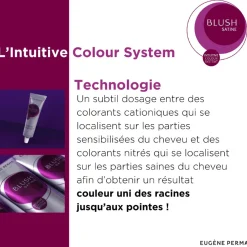Coloration temporaire Blush Satine Gris Acier Foncé