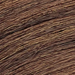 Coloration ton sur ton Shades EQ Gloss 04WG sun tea