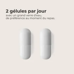Complément alimentaire anti-chute cure 30 jours