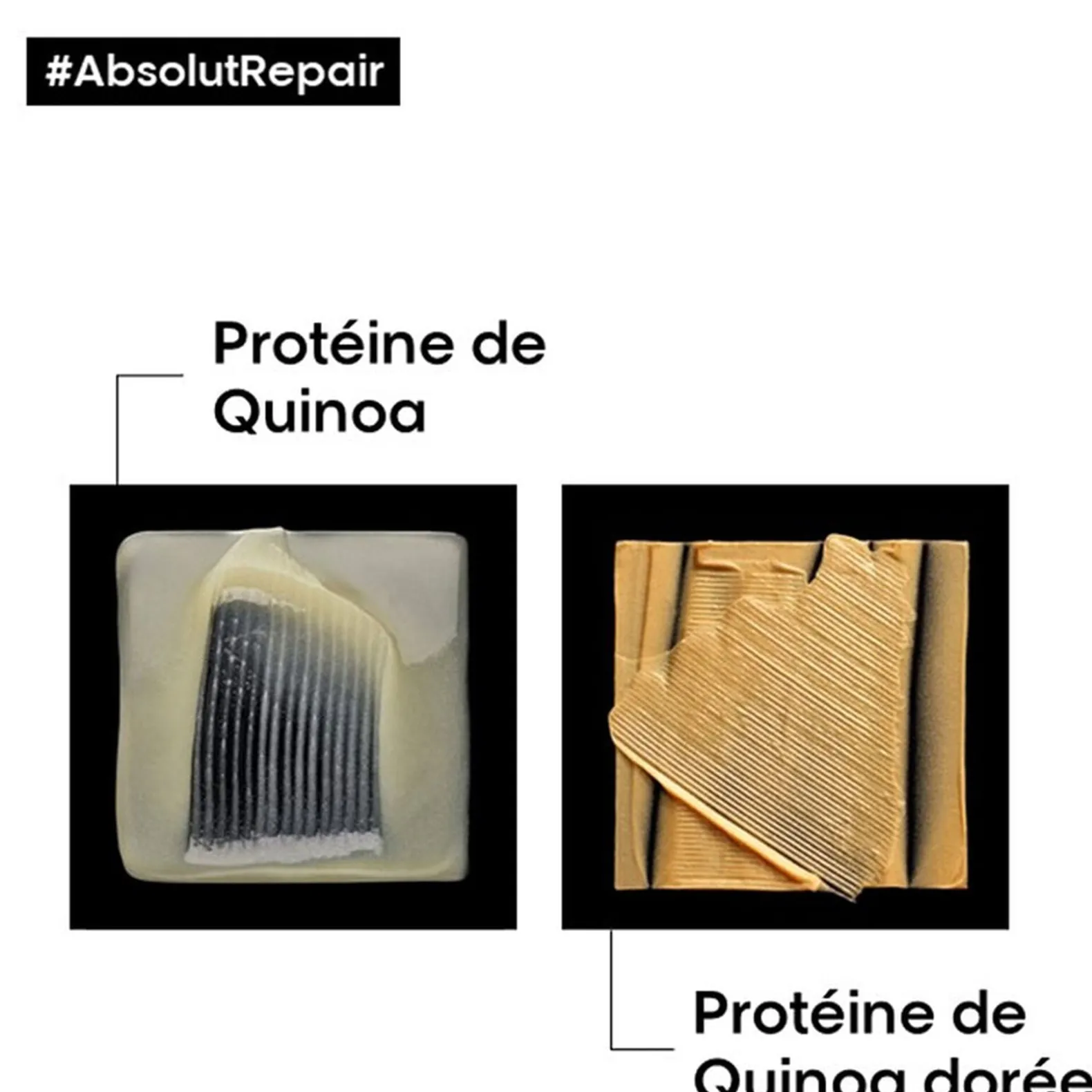 Duo rituel réparateur léger Absolut Repair Gold