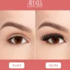 Faux cils et applicateur Magnetic Double Demi Wispies