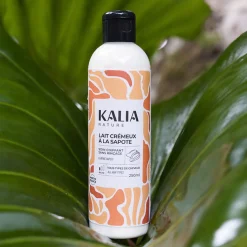 Lait crémeux à la sapote