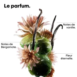Mini kit réparation & force Absolut Repair Molecular