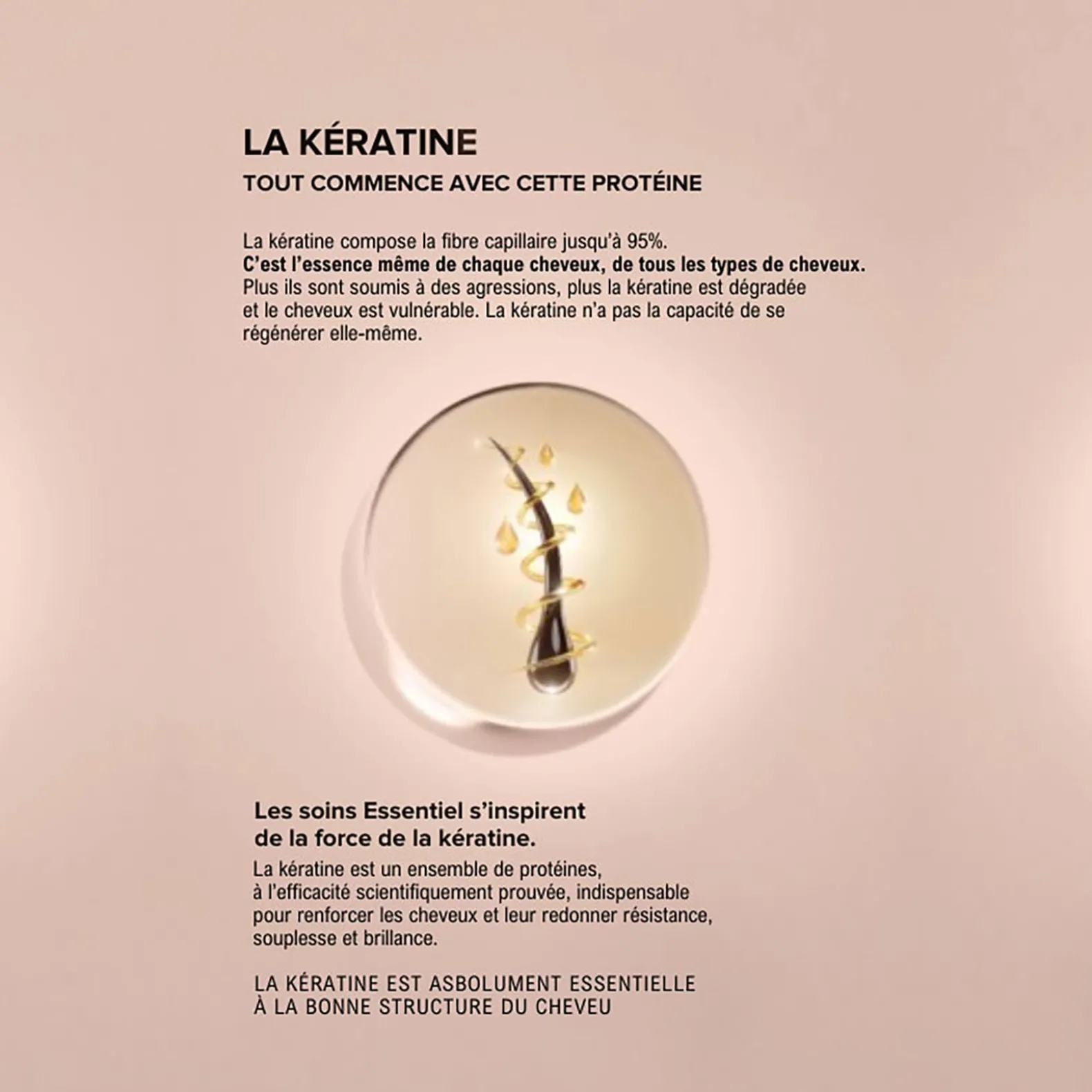 Rituel volume Essentiel Keratin Pulp