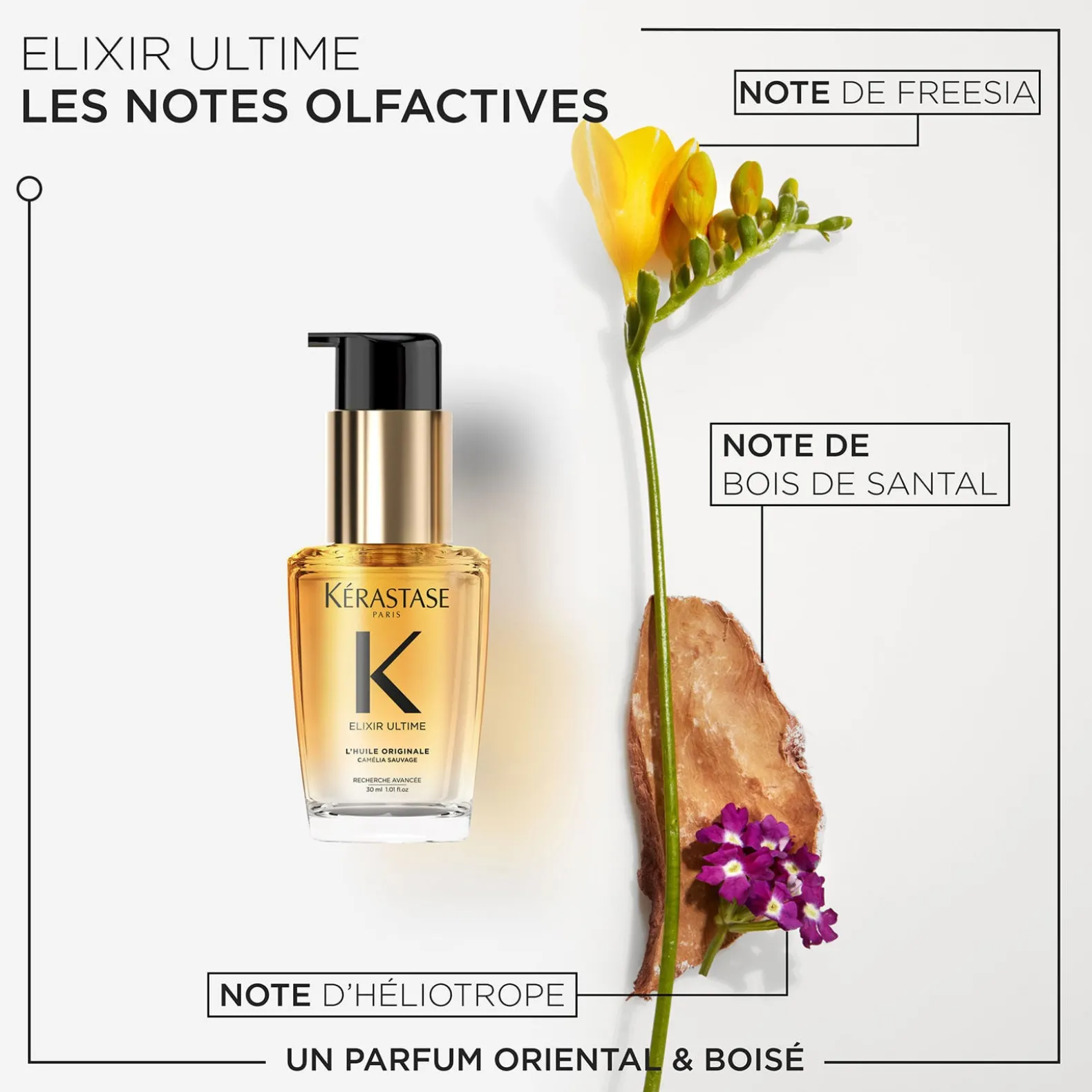 Routine Elixir Ultime