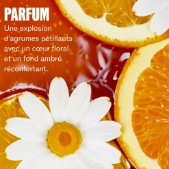 Routine Ultimate Smooth