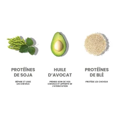 Routine volumatrice I Want Body