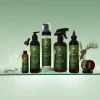 Shampooing au romarin Rosemary