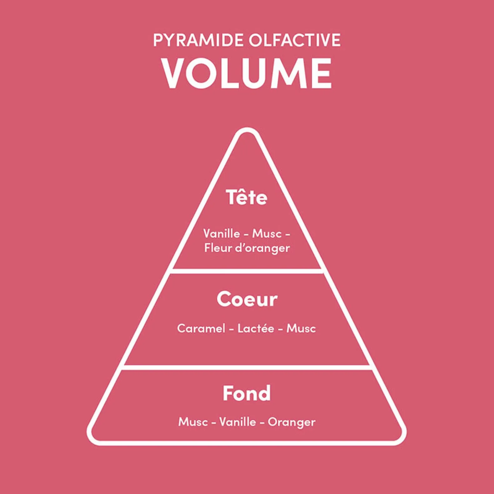Shampooing pour cheveux fins Volume