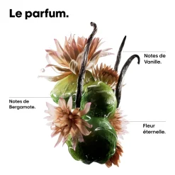 Shampooing réparateur Absolut Repair Molecular 500ml