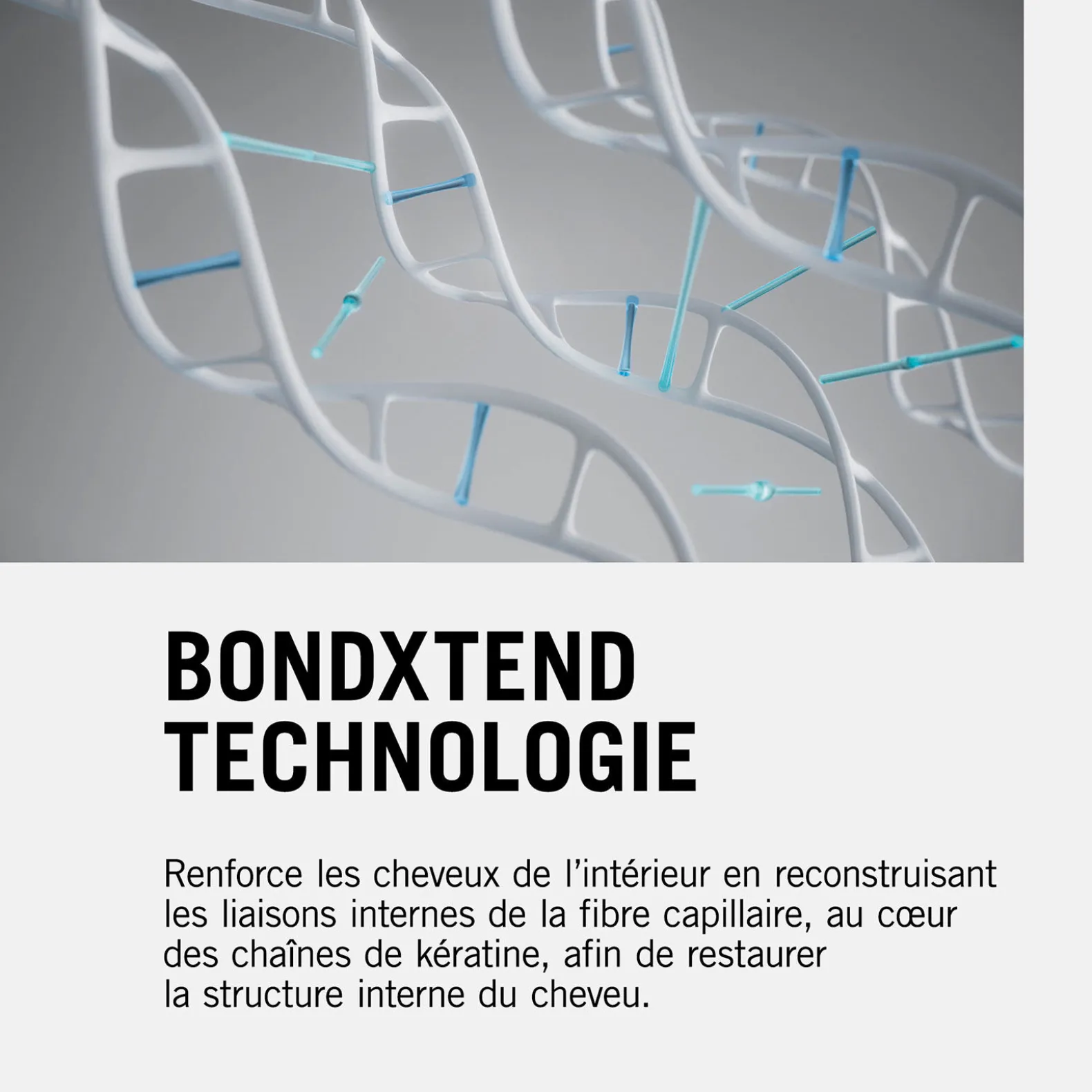 Shampooing réparateur Fibre Clinix