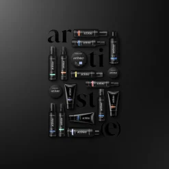 Shampooing sec Refresh Dry Artiste