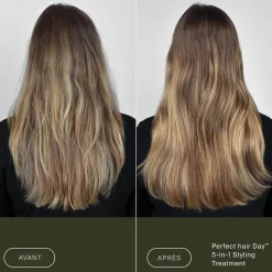 Soin coiffant 5 en 1 Perfect Hair Day
