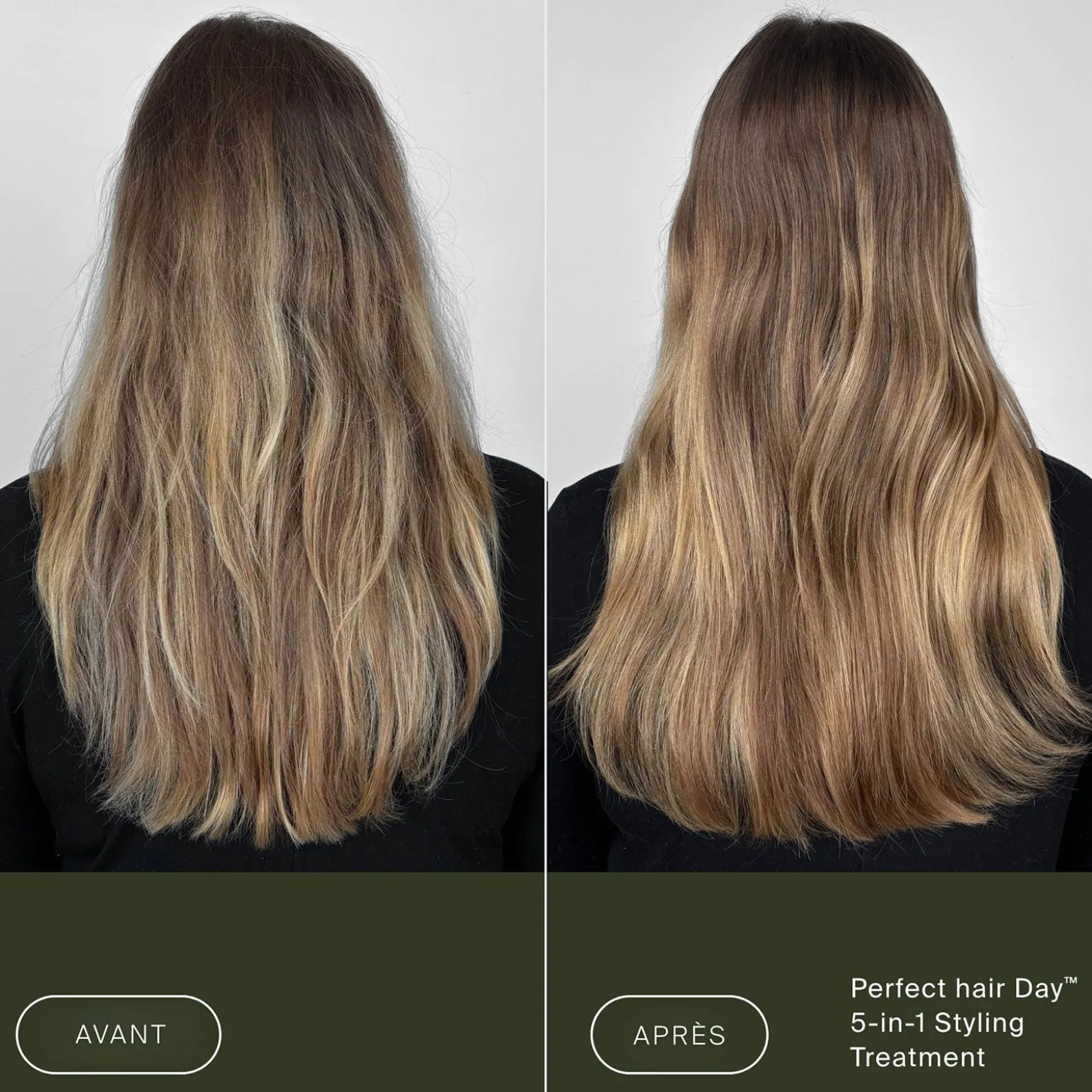 Soin coiffant 5 en 1 Perfect Hair Day