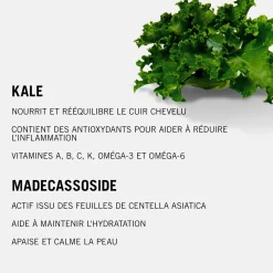Sérum apaisant BC Scalp