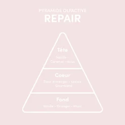 Sérum cheveux abîmés Repair