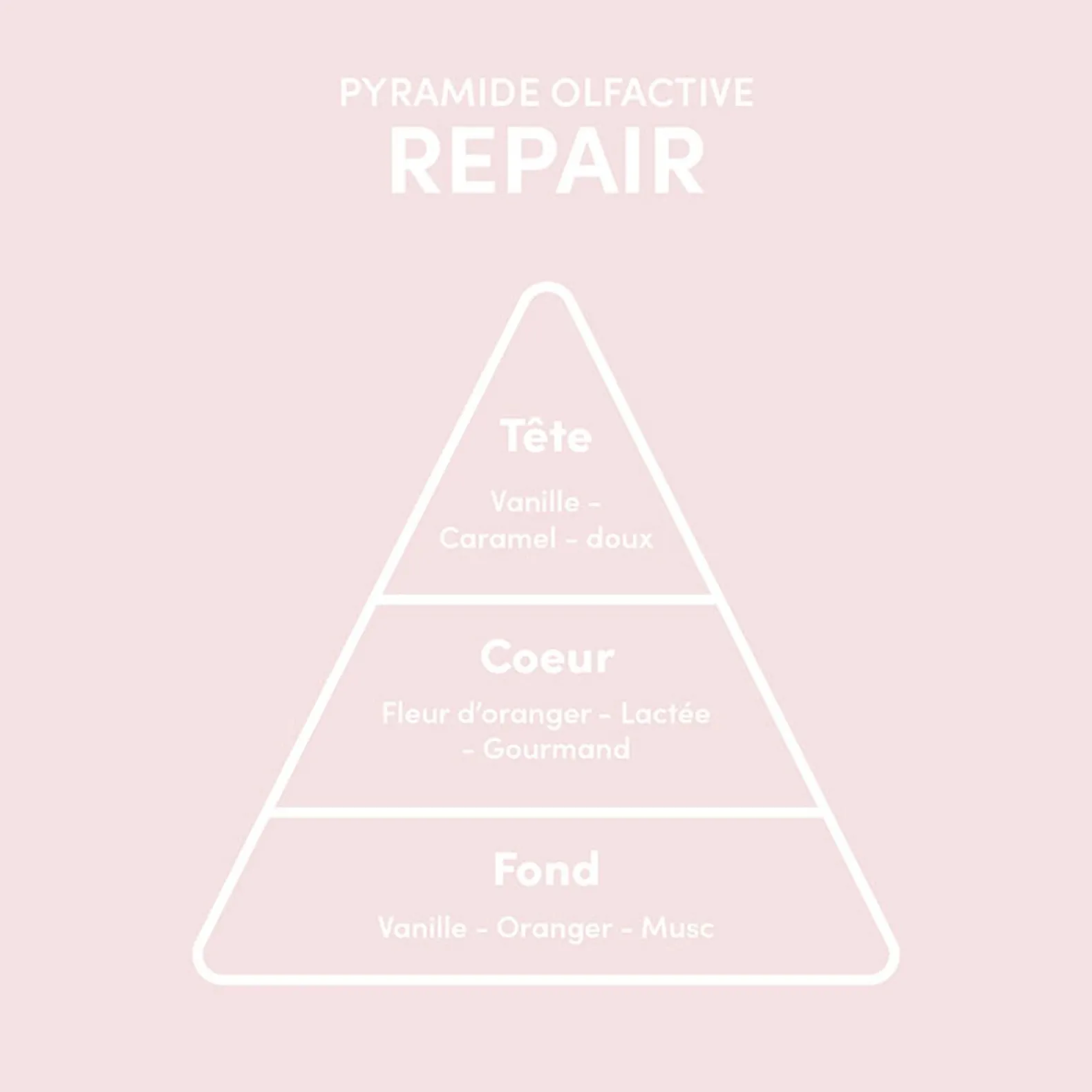 Sérum cheveux abîmés Repair