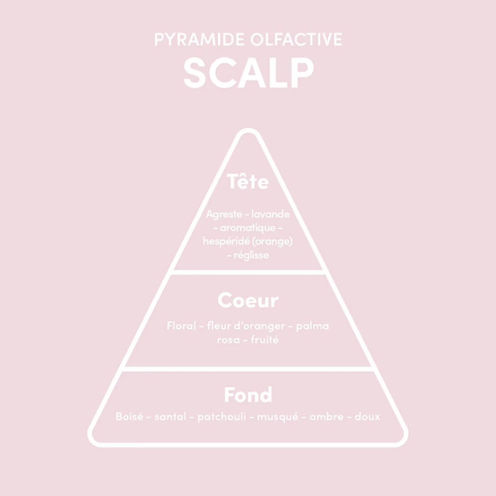 Sérum pousse cheveux Scalp Growth Hair